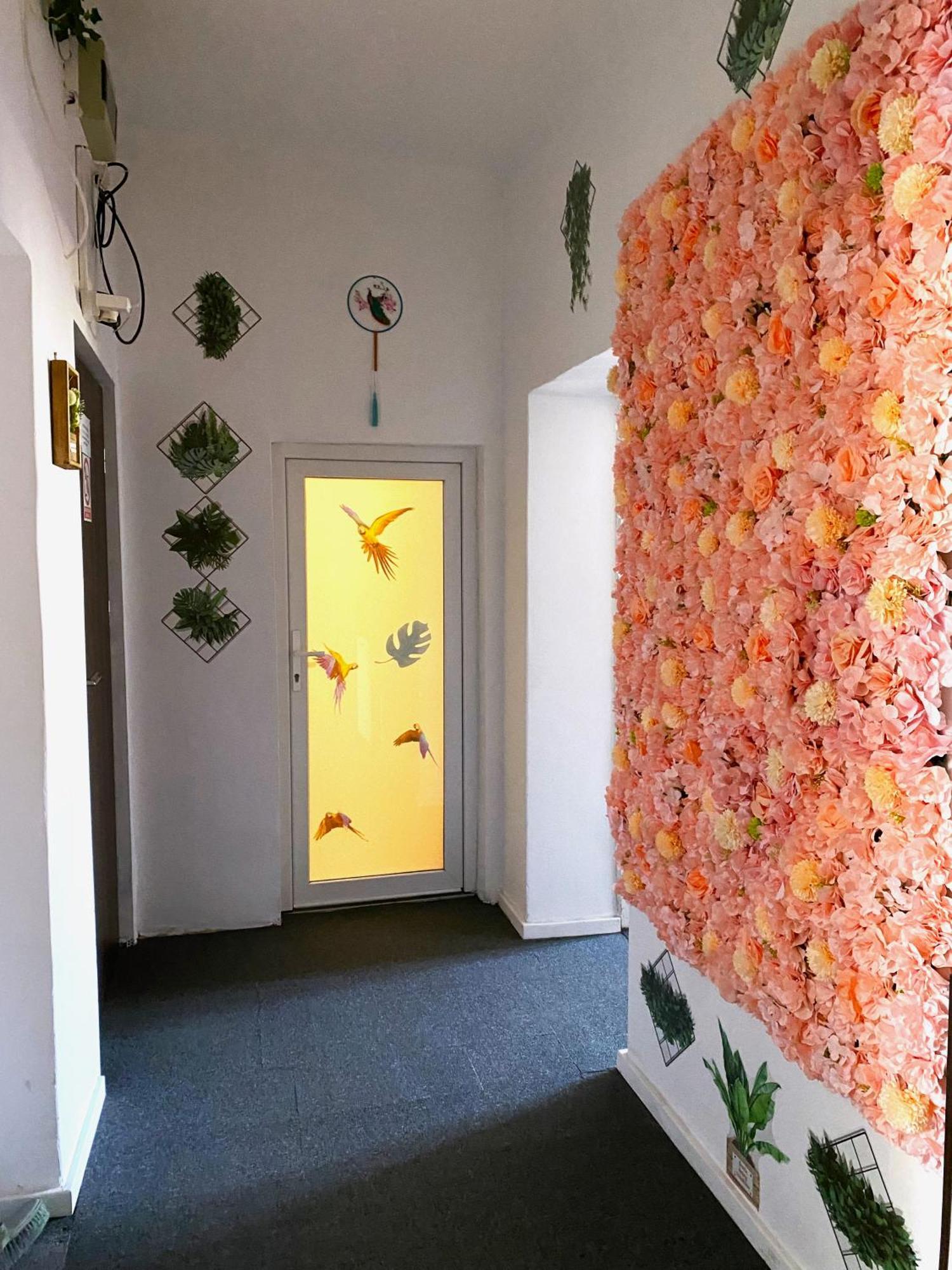 Jungle Rooms غدانسك المظهر الخارجي الصورة
